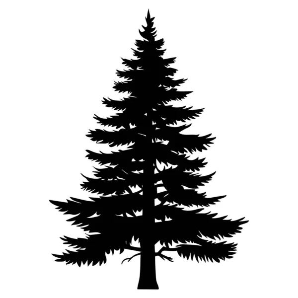 Pine Fir Tree Silhouette Vector Illustration — Stock Vector