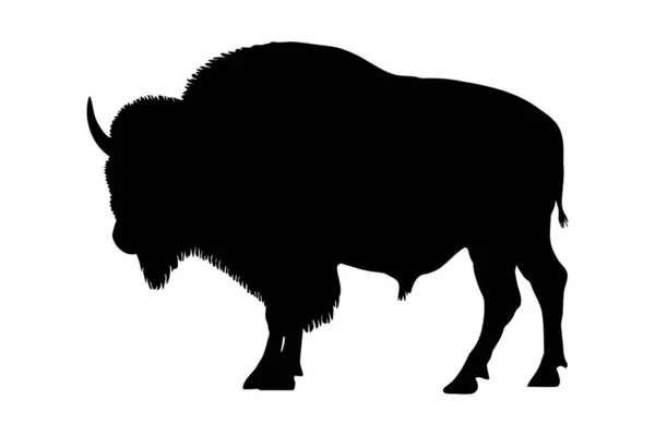 Silueta Búfalo Bisonte Ilustración Vectorial — Vector de stock