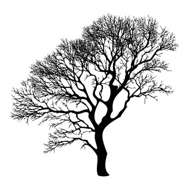 Kış çıplak ağaç silueti. Vektör illüstrasyonu