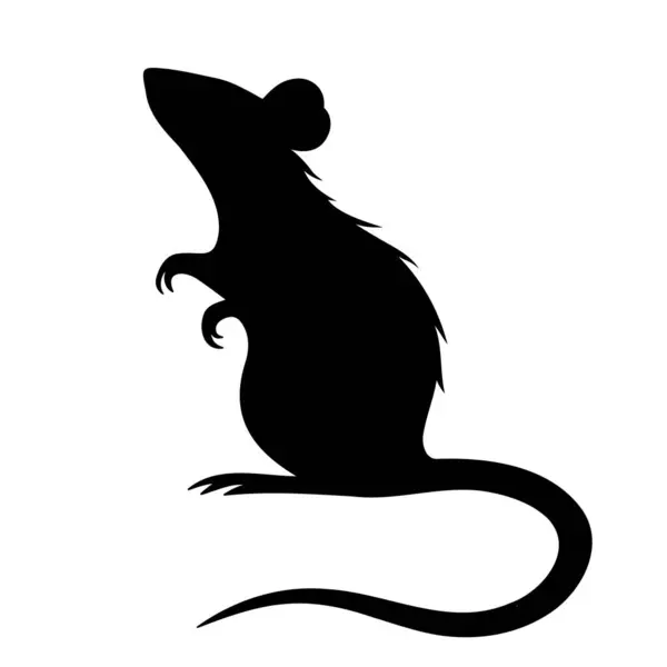 Rattensilhouette Isoliert Auf Weißem Hintergrund Vektorillustration — Stockvektor
