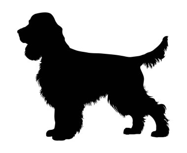 Ayakta duran Cocker spaniel Dog silueti. Vektör illüstrasyonu