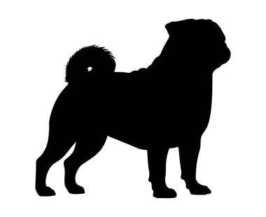 Pug Dog silueti. Vektör illüstrasyonu