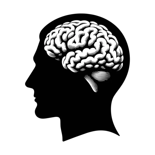 Ludzka Głowa Sylwetką Mózgu Ilustracja Wektora — Wektor stockowy