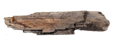 Beyaz arka planda izole edilmiş deniz yanlama tahtası. Şablon modellemesi