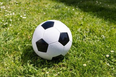 Küçük beyaz çiçeklerle yeşil çim tarlasında uzanan klasik bir deri futbol topunu kapat.