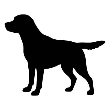 Labrador Retriever köpek silueti Vektör illüstrasyonu