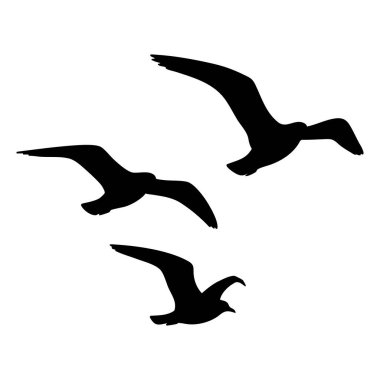 Üç kuş grubu uçan siluet çizimi