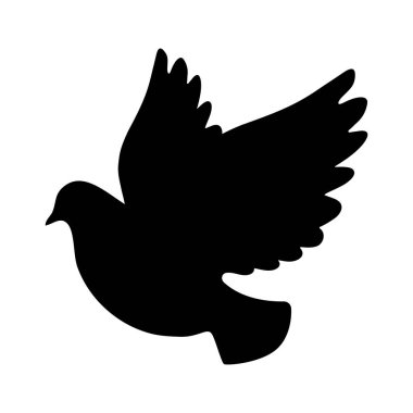 Uçan Güvercin Kuş Görüntü Hareketi