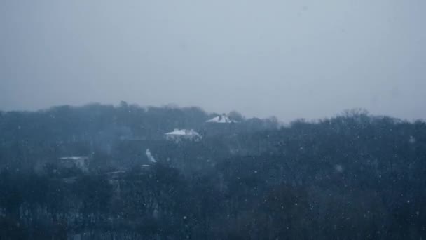 Krásný Zimní Les Pokrytý Hustým Sněhem Video Klip Jedle Mrznoucí — Stock video