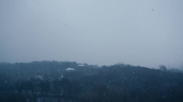 Schöner Winterwald Mit Starkem Schneefall Videoclip Von Tannenbäumen Die Hoch — Stockvideo