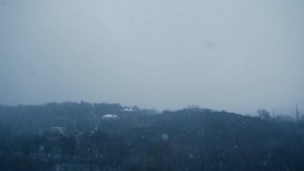 Piękny Zimowy Las Pokryty Dużym Śniegiem Klip Wideo Jodłami Zamarzającymi — Wideo stockowe
