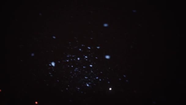 Vallende Sneeuw Een Zwarte Achtergrond Voor Overlay Alfa Sneeuw Geïsoleerd — Stockvideo