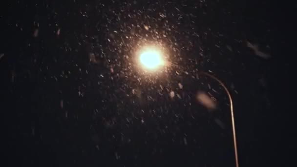 提灯を背景に夜の異常な降雪 雪がレンズに落ちる 底辺の景色 — ストック動画