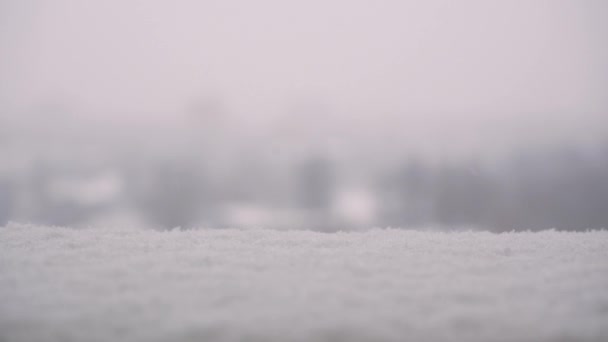 关闭冰晶 在一个美丽的冬季照明的日子里 雪亮着 雪花飘落在雪堆中 — 图库视频影像