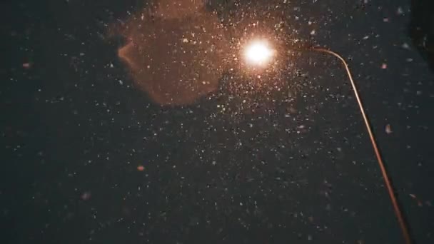 Zware Sneeuwval Nachts Achtergrond Van Een Lantaarn Onderaanzicht Sneeuw Valt — Stockvideo