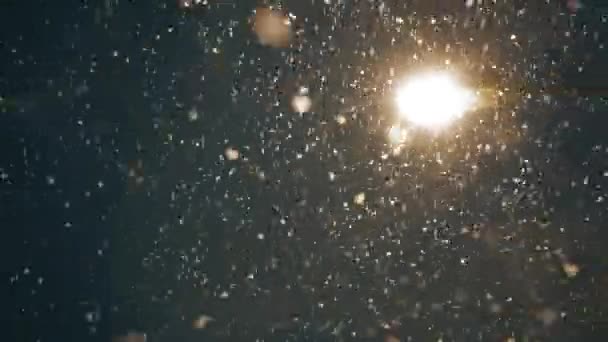 Сильный Снегопад Ночью Фоне Фонаря Вид Снизу Снег Падает Объектив — стоковое видео