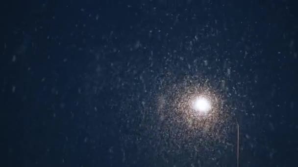 Krásná Zima Animovaná Padající Sněhová Animace Smyčka Pozadí Snowfall Overlay — Stock video
