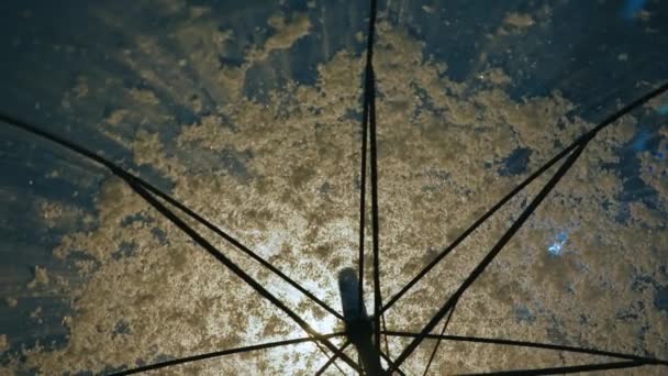 Közelkép Alulról Egy Esernyőn Keresztül Éjszaka Egy Átlátszó Esernyőre Esik — Stock videók