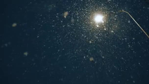 Bokeh Yağmur Arka Planı Bulanık Işık Dokusu Geçiş Için Kar — Stok video