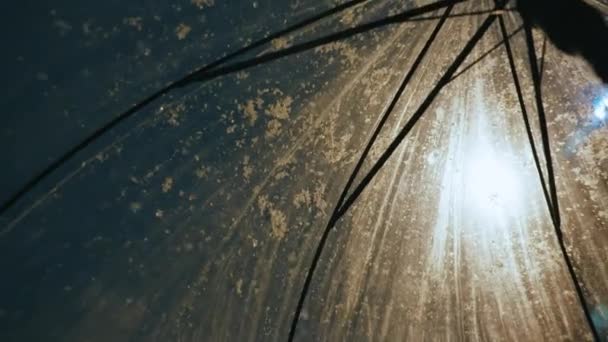 Nahaufnahme Von Unten Durch Einen Regenschirm Nachts Fällt Schnee Auf — Stockvideo