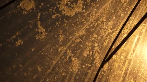 Nieve Cae Sobre Paraguas Transparente Por Noche Fuertes Nevadas Clima — Vídeos de Stock