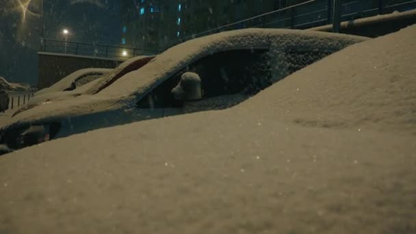 Oekraïne Kiev 2021 Auto Onder Sneeuw Tijdens Winter Sneeuwval Straat — Stockvideo