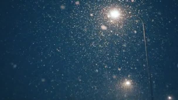 Staden Lykta Och Träd Vintern Snöig Natt Stadens Gata — Stockvideo