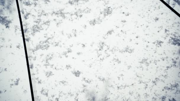 Κοντινό Πλάνο Από Κάτω Μέσα Από Μια Ομπρέλα Χιόνι Πέφτει — Αρχείο Βίντεο