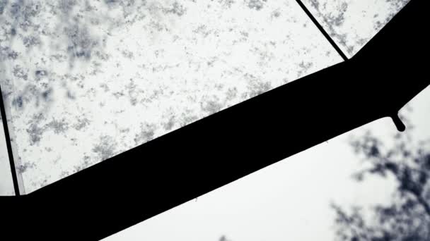 Сильный Снегопад Снег Падает Прозрачный Зонтик Зимняя Погода Рождественская Атмосфера — стоковое видео