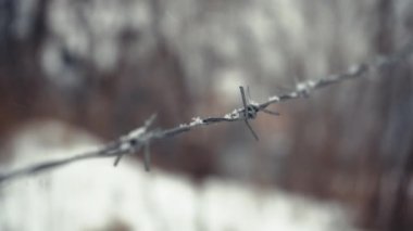 Karların altında dikenli teller var. Tehlike kavramı. Karlı havada bir hapishanenin ayrıntıları