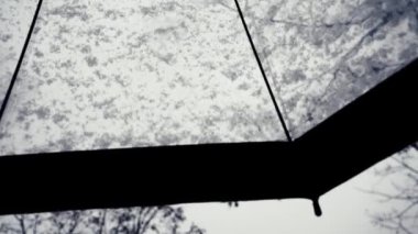 Şiddetli kar yağışı. Şeffaf bir şemsiyeye kar yağar. Kış havası. Noel atmosferi