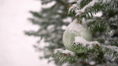 Karla kaplı çam dalları yeni yıl kırmızı toplarıyla süslenir. Muhteşem kış ormanı manzarası. Noel ağacı. Noel ve Yeni Yıl atmosferi