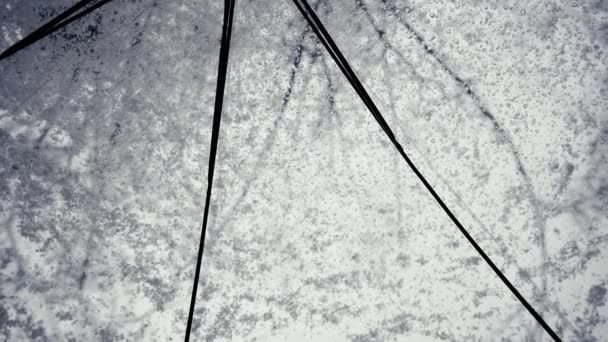 Marco Desde Abajo Nieve Cae Sobre Paraguas Transparente Fuertes Nevadas — Vídeos de Stock