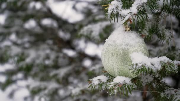 Cabang Pinus Yang Tertutup Salju Dihiasi Dengan Bola Merah Tahun — Stok Video