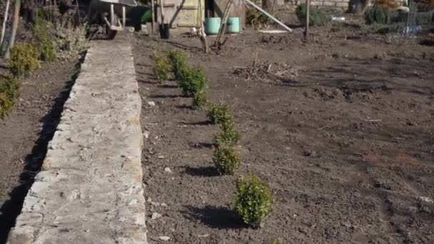 春に庭に空の車輪付きの庭師 裏庭で仕事を植えます 土を掘れ庭師 — ストック動画