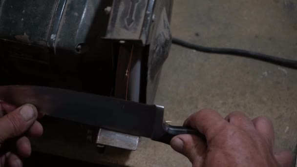 Sharpening Knife Electric Grinding Wheel Machine Sharpening Scabbard Electric Grinder — Stock Video