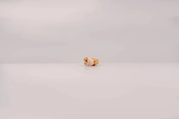 Human wisdom tooth isolated on gray background. Dentistry concept. Macro photo of a wisdom tooth close up