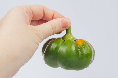 Kırmızı, yeşil ve sarı biberler dükkanda. Kadın eli süpermarketten biber toplar ve alır.