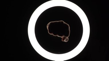 female hands beat with a fist in the air in the frame. Fight for women's rights. gestures on a black background close-up.