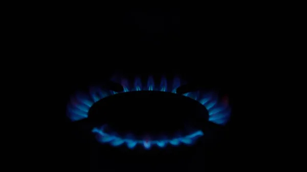 the gas burner on the kitchen stove lights up. Burning blue flame of fire in the dark on a black background. Inflammation of natural gas. Natural energy carrier, fossil fuel.