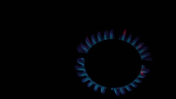 the gas burner on the kitchen stove lights up. Burning blue flame of fire in the dark on a black background. Inflammation of natural gas. Natural energy carrier, fossil fuel.