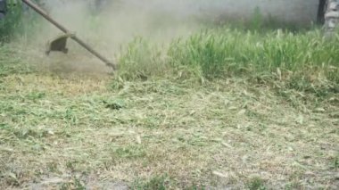 Yeşil kot pantolonlu erkek bacaklarının, yeşil çim biçen bir biçme makinesinin arka planına yakın plan çekimi. Çimleri elle biçme makinesiyle biçmek. Bahçe ve çim bakımı