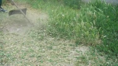 Profesyonel bir bahçıvan Central Park 'ta çimleri bir petrol çim biçme makinesiyle biçiyor. Çim biçme. Çim biçme makinesi çim biçme makinesiyle çimleri biçer.