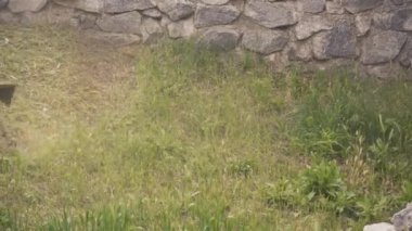 Yeşil kot pantolonlu erkek bacaklarının, yeşil çim biçen bir biçme makinesinin arka planına yakın plan çekimi. Çimleri elle biçme makinesiyle biçmek. Bahçe ve çim bakımı