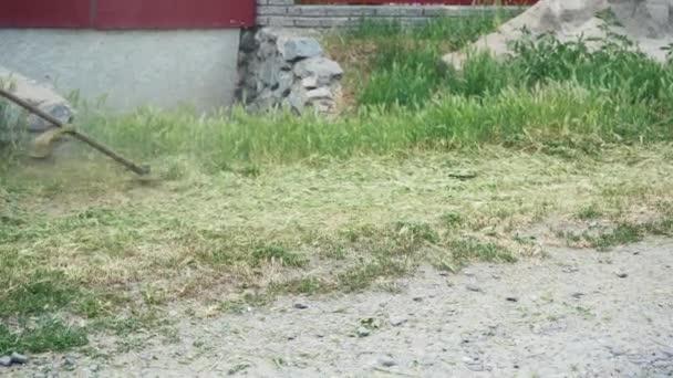 緑の草を刈るトリマーの背景に緑のジーンズの男性の足のクローズアップ 手動のガソリン芝刈り機で草を刈る 庭と芝生のケア — ストック動画