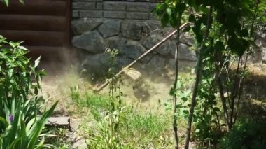 Profesyonel bir bahçıvan Central Park 'ta çimleri bir petrol çim biçme makinesiyle biçiyor. Çim biçme. Çim biçme makinesi çim biçme makinesiyle çimleri biçer.