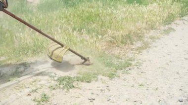 Profesyonel bir bahçıvan Central Park 'ta çimleri bir petrol çim biçme makinesiyle biçiyor. Çim biçme. Çim biçme makinesi çim biçme makinesiyle çimleri biçer.
