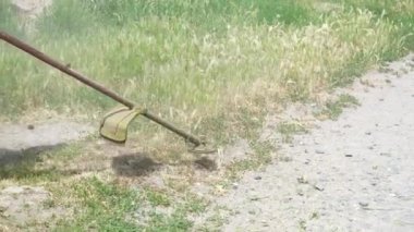 Profesyonel bir bahçıvan Central Park 'ta çimleri bir petrol çim biçme makinesiyle biçiyor. Çim biçme. Çim biçme makinesi çim biçme makinesiyle çimleri biçer.