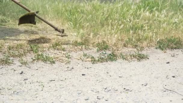 一位专业园艺师用汽油树篱修剪机修剪中央公园的草坪 割草机用割草机割干草坪 — 图库视频影像