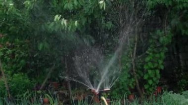 Watering crops in the garden. The smart garden is activated with a fully automatic sprinkler irrigation system watering the crop rows. Slow motion in HD